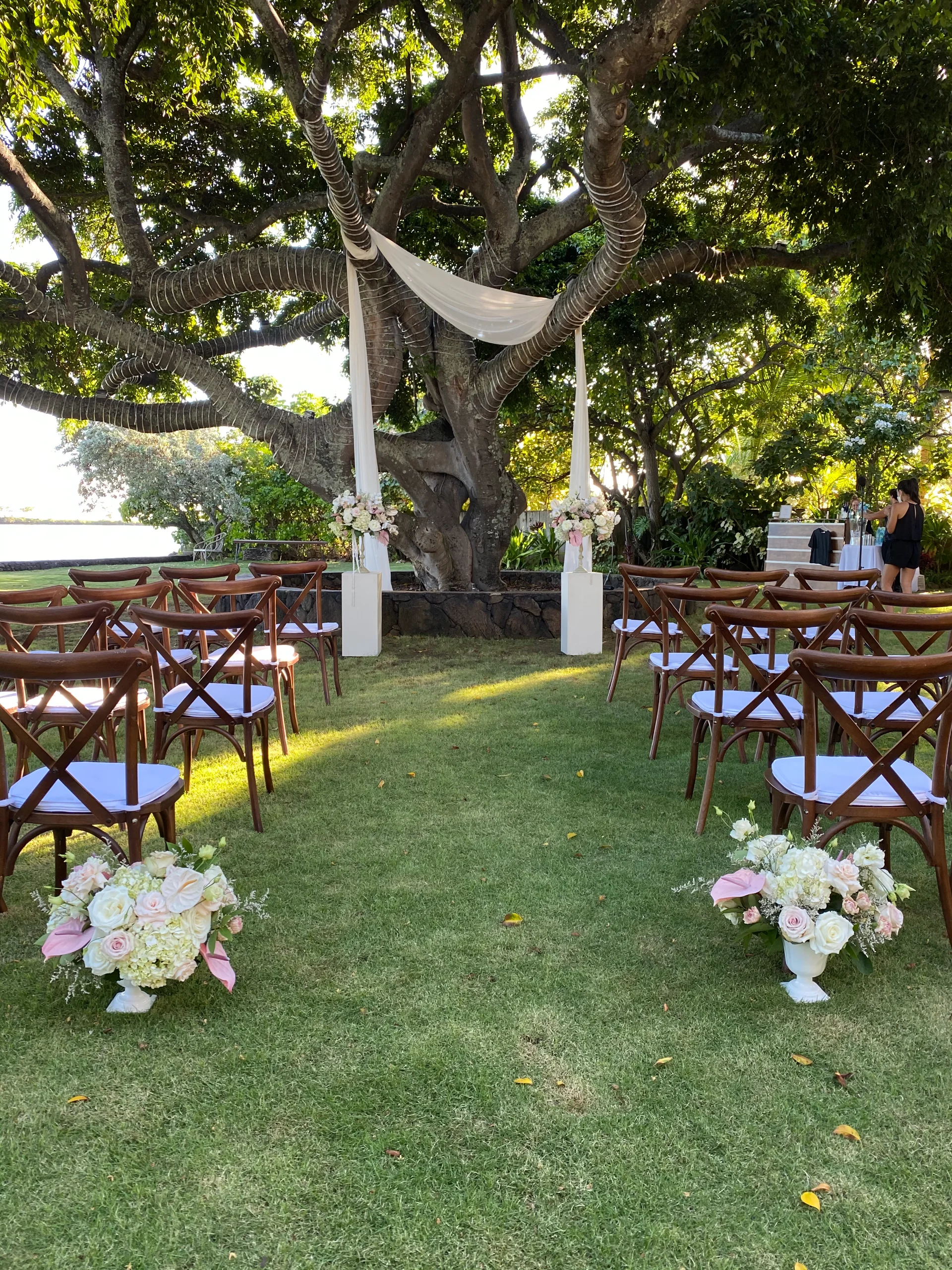 luxury wedding ceremony setup on Oʻahu with draped tree, pink and white floral arrangements, and wooden chairs